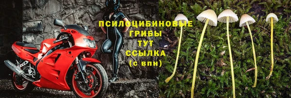 молекула духа Навашино