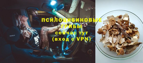 молекула духа Навашино