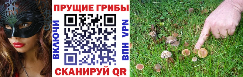 Галлюциногенные грибы ЛСД Себеж